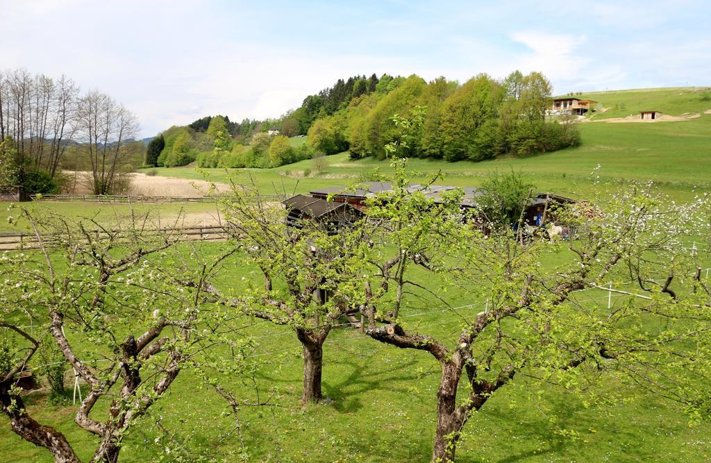 Hotel Familienparadies Reichenhauser à Keutschach am See Extérieur photo